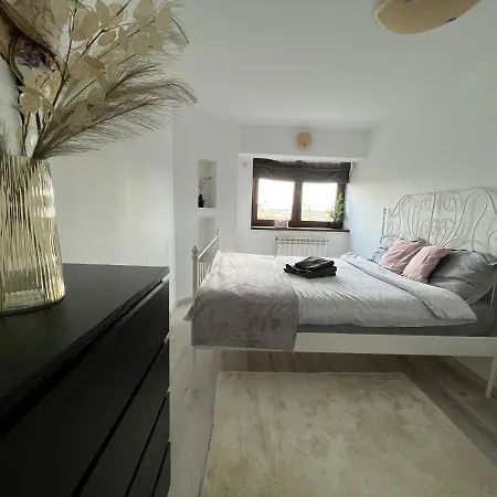 City Center Privat-Sauna Familyconcept Iasi Extérieur photo