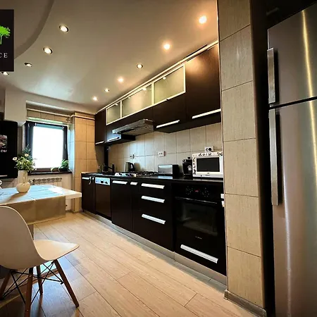 City Center Privat-Sauna Familyconcept Iasi Extérieur photo